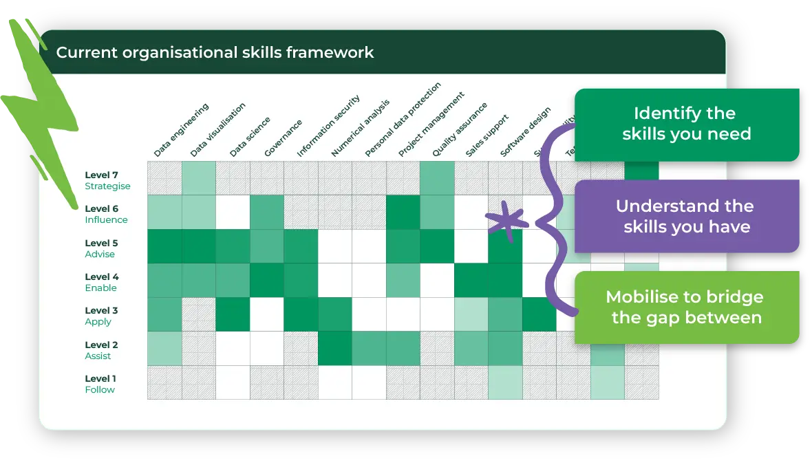Comprehensive skills mapping graphic